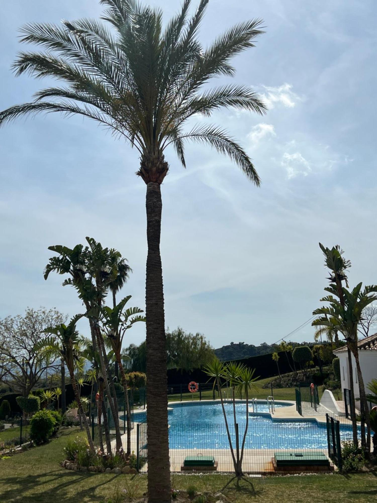 Finca San Antonio Two Bedroom Apartment With Swimming Pool Mijas Luaran gambar